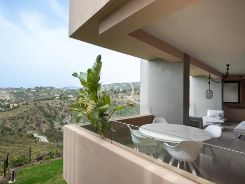 large terrace