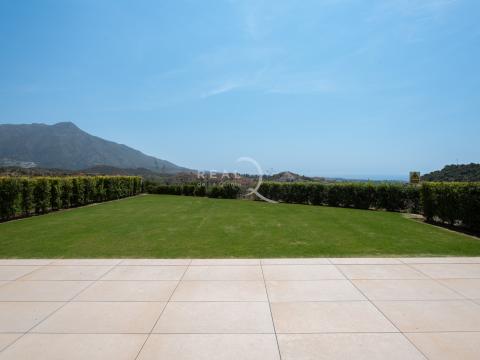 terrace and garden