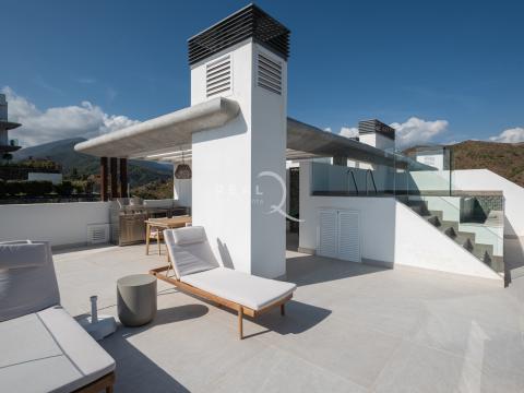 solarium with plunge pool